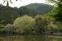 vignette Japon_2014_0377.jpg 