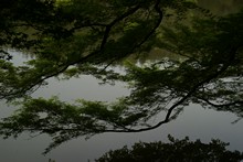 vignette Japon_2014_0378.jpg 