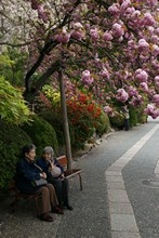 vignette Japon_2014_0386.jpg 