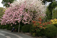 vignette Japon_2014_0388.jpg 