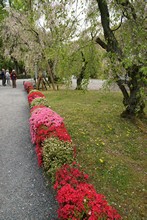 vignette Japon_2014_0424.jpg 