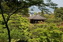 vignette Japon_2014_0532.jpg 