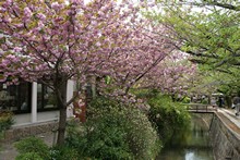 vignette Japon_2014_0575.jpg 