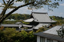 vignette Japon_2014_0588.jpg 