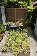 vignette Japon_2014_0608.jpg 