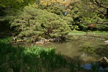 vignette Japon_2014_0643.jpg 