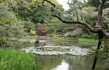 vignette Japon_2014_0647.jpg 