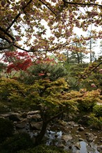 vignette Japon_2014_0655.jpg 