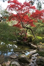 vignette Japon_2014_0657.jpg 