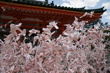 vignette Japon_2014_0676.jpg 