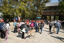 vignette Japon_2014_0751.jpg 