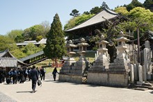 vignette Japon_2014_0786.jpg 