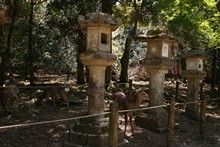 vignette Japon_2014_0826.jpg 