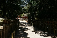 vignette Japon_2014_0845.jpg 