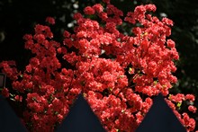 vignette Japon_2014_0847.jpg 