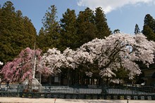 vignette Japon_2014_1022.jpg 