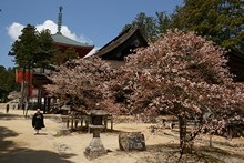 vignette Japon_2014_1050.jpg 