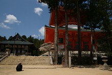 vignette Japon_2014_1056.jpg 