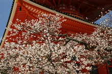 vignette Japon_2014_1061.jpg 