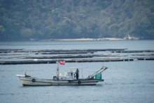 vignette Japon_2014_1119.jpg 