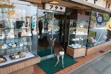 vignette Japon_2014_1137.jpg 