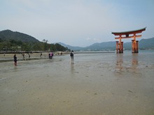 vignette Japon_2014_1199.jpg 