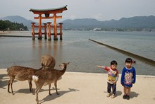 vignette Japon_2014_1208.jpg 