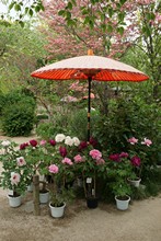 vignette Japon_2014_1273.jpg 