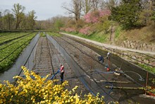 vignette Japon_2014_1560.jpg 