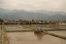 vignette Japon_2014_1602.jpg 