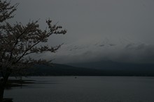 vignette Japon_2014_1623.jpg 