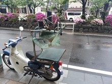 vignette Japon_2014_1737.jpg 