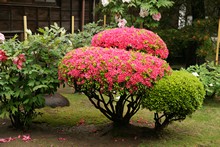 vignette Japon_2014_1757.jpg 