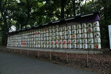 vignette Japon_2014_1817.jpg 