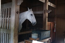 vignette Japon_2014_1993.jpg 