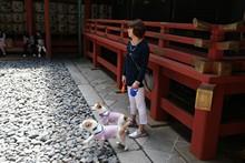 vignette Japon_2014_2041.jpg 