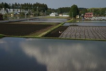 vignette Japon_2014_2113.jpg 