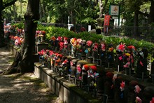 vignette Japon_2014_2264.jpg 