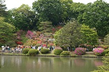 vignette Japon_2014_2283.jpg 