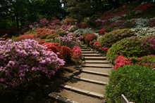 vignette Japon_2014_2296.jpg 