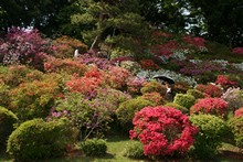 vignette Japon_2014_2305.jpg 