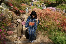 vignette Japon_2014_2316.jpg 