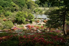 vignette Japon_2014_2320.jpg 