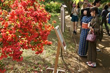 vignette Japon_2014_2330.jpg 