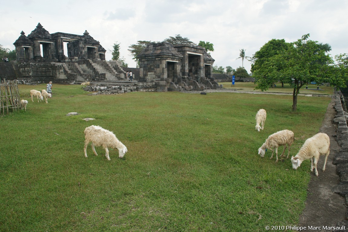 /ecran/Indonesie_2010_0093.jpg