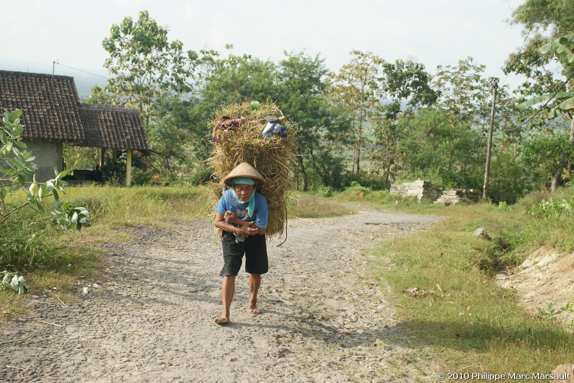 /ecran/Indonesie_2010_0106.jpg