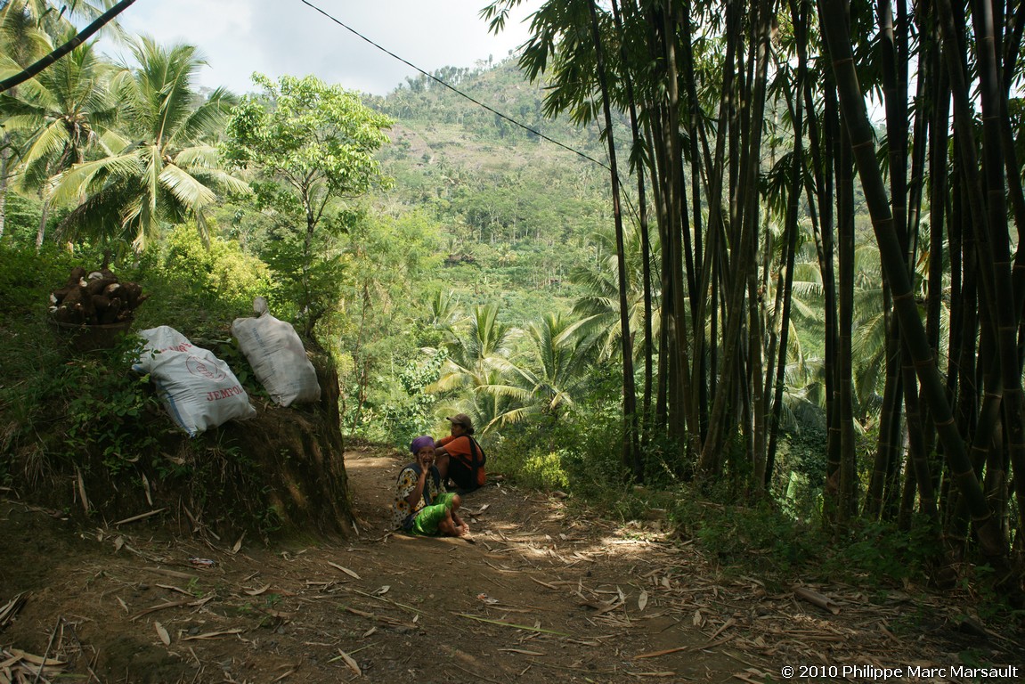 /ecran/Indonesie_2010_0174.jpg