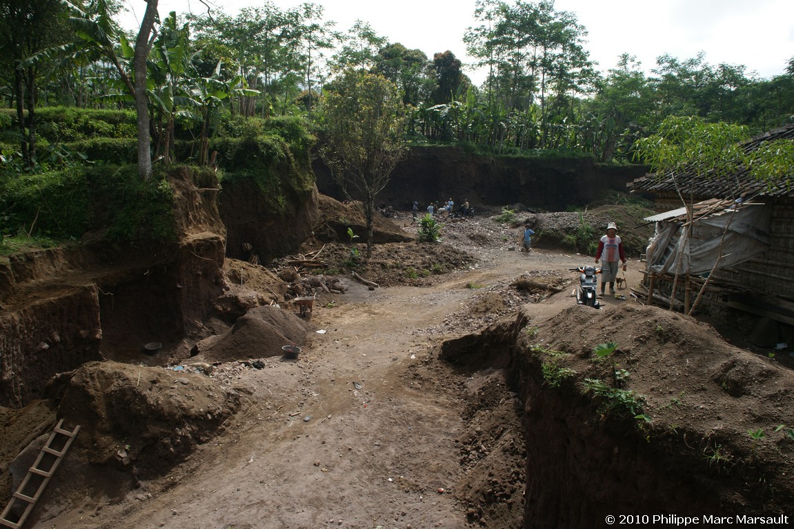 /ecran/Indonesie_2010_0281.jpg