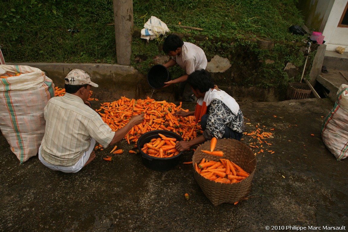 /ecran/Indonesie_2010_0409.jpg