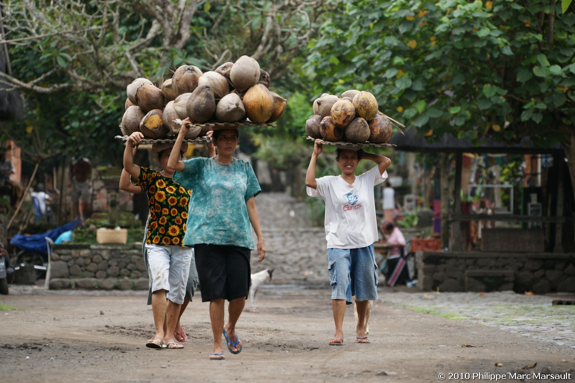 /ecran/Indonesie_2010_1487.jpg